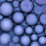 Dalla bonifica da amianto all’energia, c’è un tesoro nel latte Dalla bonifica da amianto all’energia, c’è un tesoro nel latte