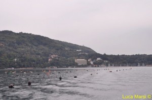 Trieste vista dal mare Trieste vista dal mare