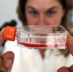 Cresce sempre più il mercato della cosmesi naturale. In Italia vale 400 milioni Cresce sempre più il mercato della cosmesi naturale. In Italia vale 400 milioni